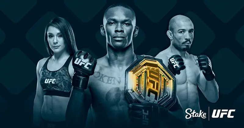 Stake Casino Partner UFC